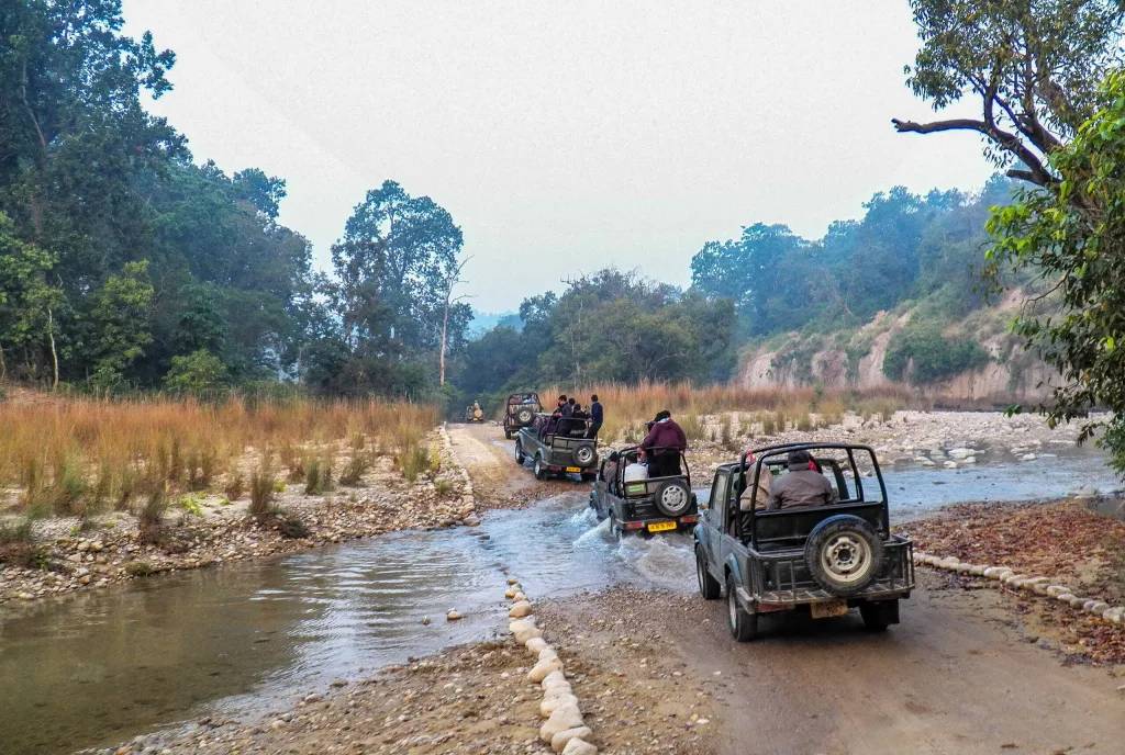 Jim Corbett National Park near La Perle River Resort, Jim Corbett